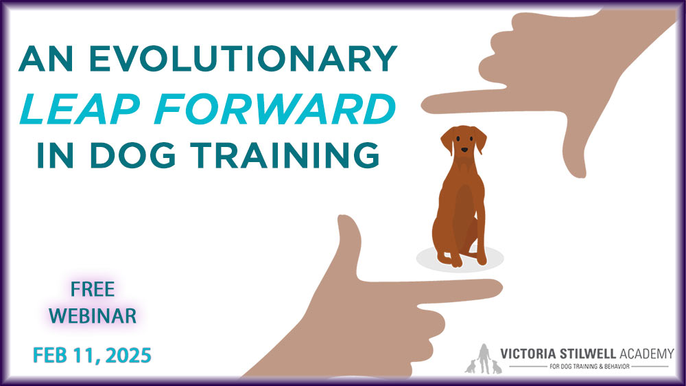 An evolutionary leap forward in dog training