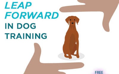 An Evolutionary Leap Forward In Dog Training