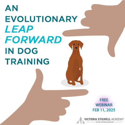 An Evolutionary Leap Forward In Dog Training