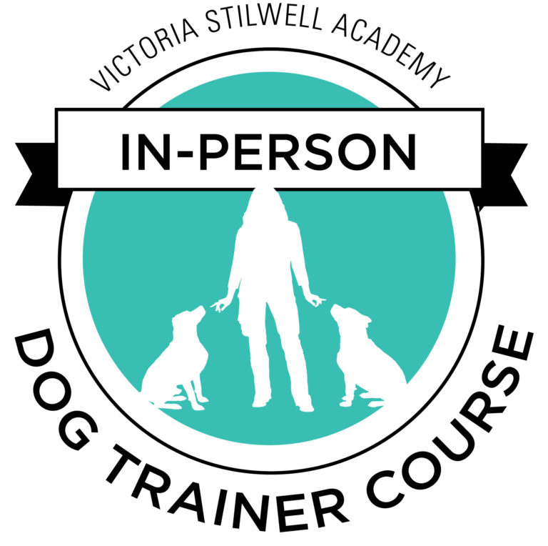 become a certified dog trainer