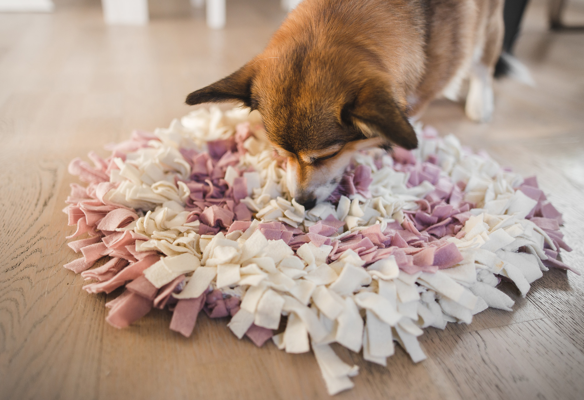 Snuffle Mats & Canine Enrichment Toys